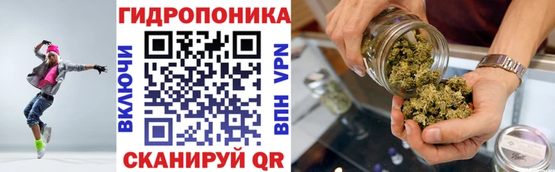 Где продают наркотики Белгород LSD-25  Псилоцибиновые грибы  ГАШ  APVP 