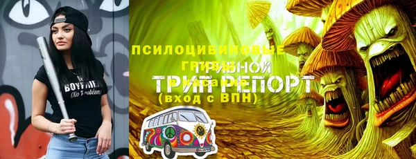 гидропоника Алзамай