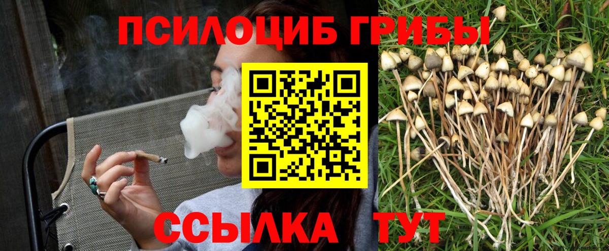 Галлюциногенные грибы мухоморы  Вход с VPN  Белгород 
